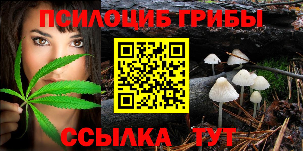 Псилоцибиновые грибы Psilocybine cubensis  Вход с VPN  купить   Алапаевск 