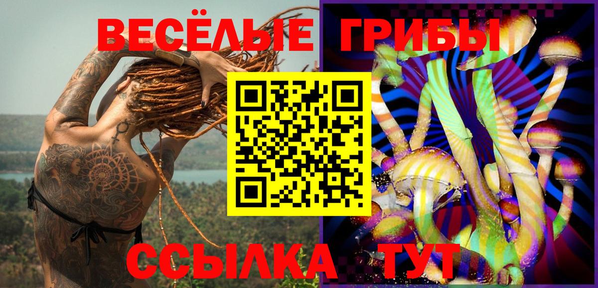 Псилоцибиновые грибы Cubensis Алапаевск